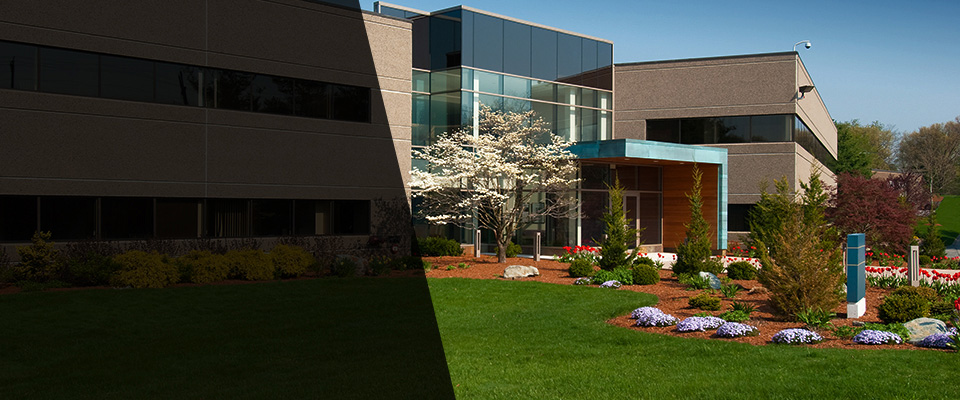 Rayne Landscapers