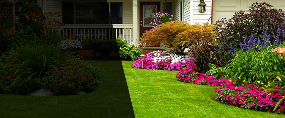 Rayne Landscapers