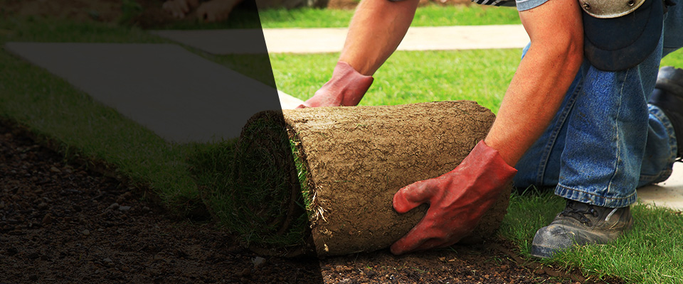 Rayne Landscapers